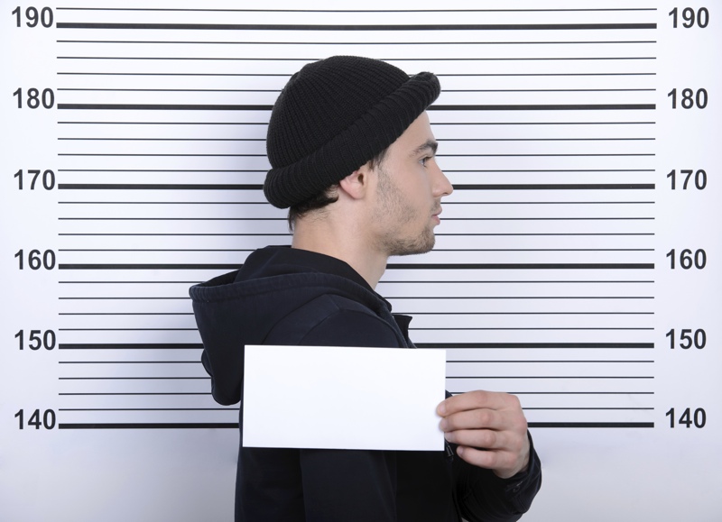Theft Lawyer in St. Petersburg