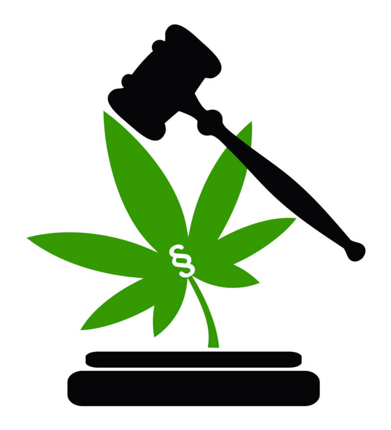Marijuana Criminal Defense Lawyer
